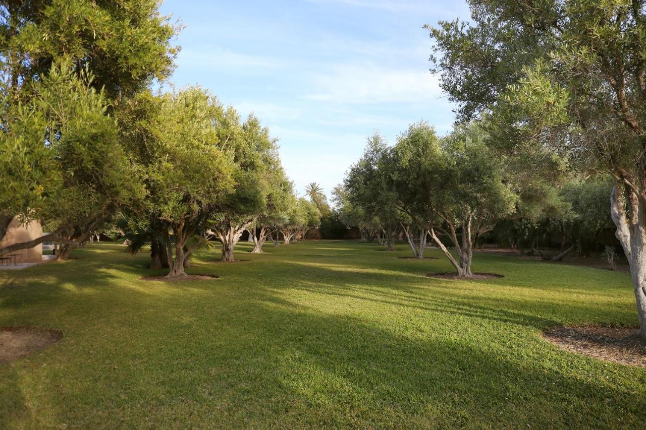 High standing villa, Palmeraie area