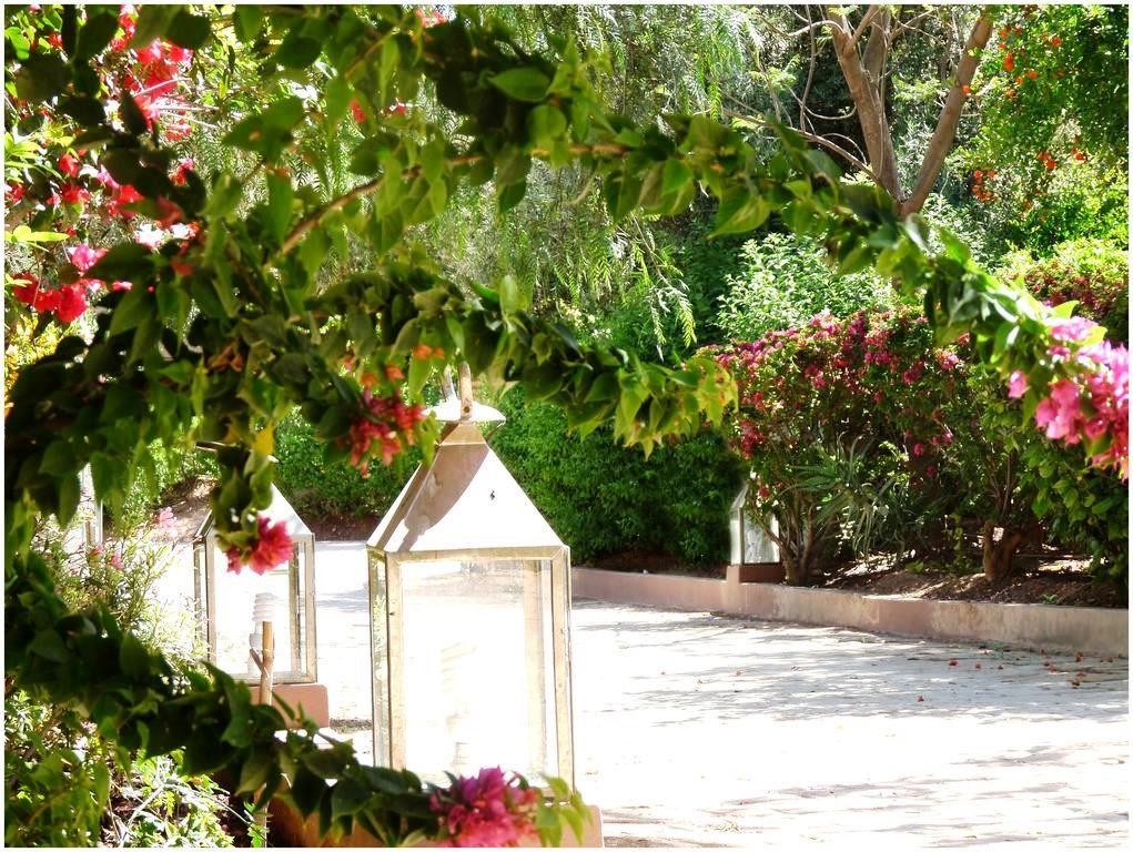 Luxury villa, Palmeraie area
