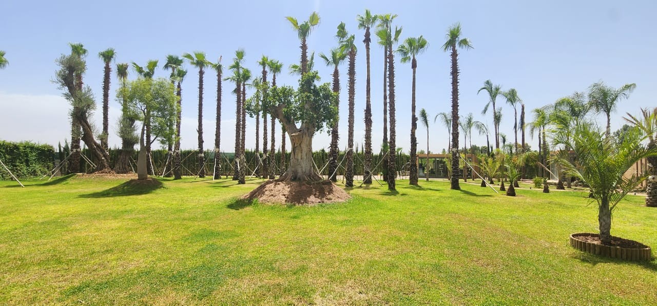 louer villa de luxe à Marrakech