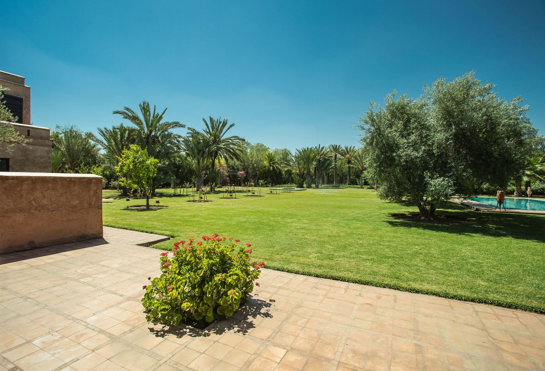 Luxury villa, Palmeraie area