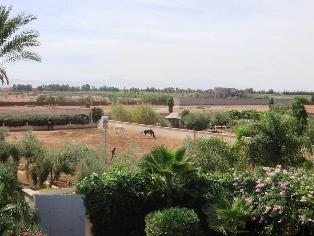 Villa, Road to Ourika