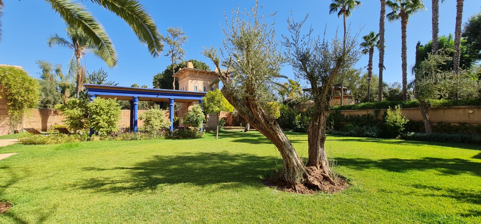 Luxury villa, Amelkis area