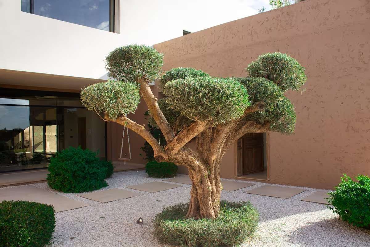 Villa, Route de Fès